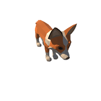 Fox Corgi 1